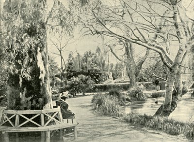 I den botaniske hagen, Adelaide, 1901. av Unbekannt