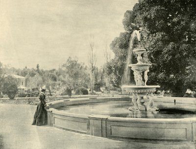 I den botaniske hagen, Adelaide, 1901. av Unbekannt