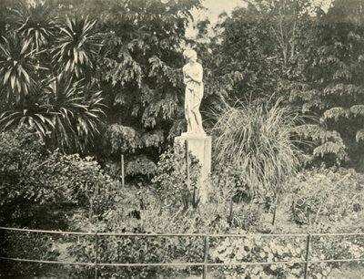 I Fitzroy Gardens, Melbourne, 1901. av Unbekannt
