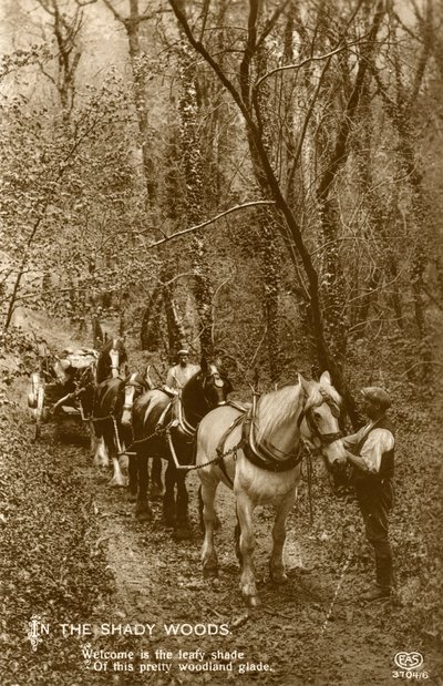 I Shady Woods, slutten av 1800- eller begynnelsen av 1900-tallet av Unbekannt