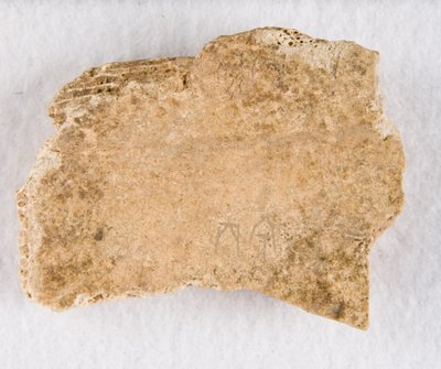Innskrevet benfragment orakelbein, Late Shang-dynastiet, ca. 1300-1050 fvt. av Unbekannt