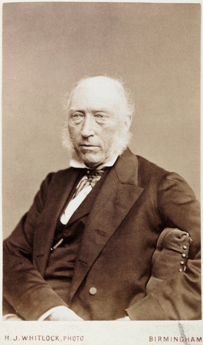 John Phillips, engelsk geolog, ca 1870 av Unbekannt