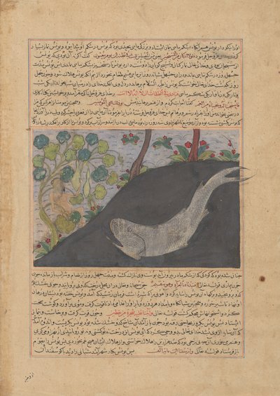 Jonah and the Whale, Folio fra et Majma' al-Tavarikh Compendium of Histories..., ca. 1425. av Unbekannt