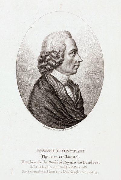 Joseph Priestley , engelsk-amerikansk teolog og kjemiker, ca 1780 av Unbekannt