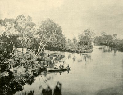 Junction of the Glengarry & Thompson Rivers, Victoria, 1901. av Unbekannt