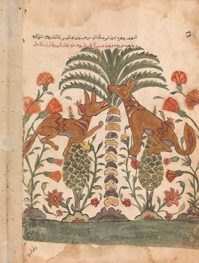 Kalila Upbraiding Dimna, Folio fra en Kalila wa Dimna, 1700-tallet. av Unbekannt