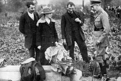 Kong George V beundrer tildelinger på Clapham Common, London, c1910-c1920s 1936 av Unbekannt