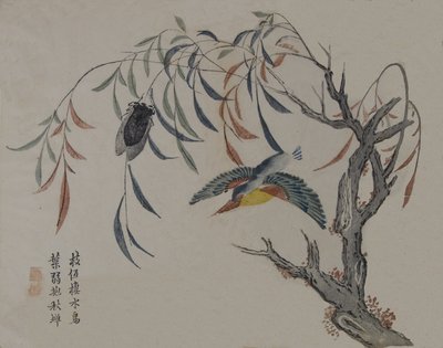 Kingfisher, Cicada og Willow Tree, 1800-tallet. av Unbekannt