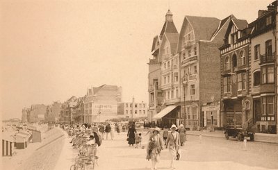 La Digue, The Promenade, c1900. av Unbekannt