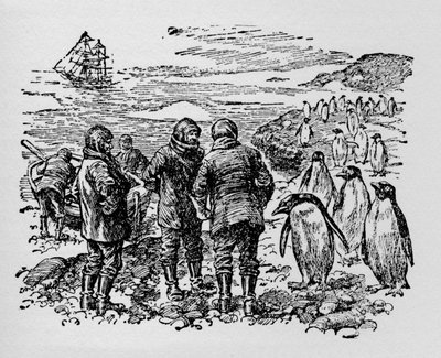 Landet på en liten øy bebodd av myriader av pingviner, ca 1918 av Unbekannt
