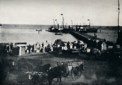 Landingssted, Punta Arenas, 1911 av Unbekannt