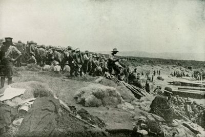 Landingstropper ved Suvla Bay, 1919. av Unbekannt