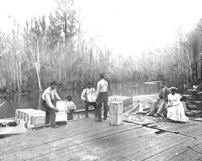 Laster appelsiner på Ocklawaha River, Florida, USA, c1900. av Unbekannt