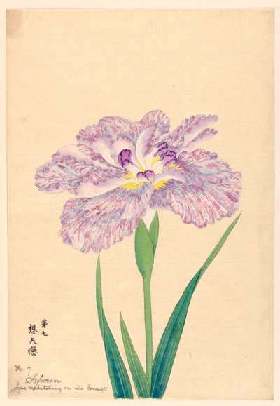 Love Meditating on Its Consort (Sofuren), nr. 7, ca. 1910 av Unbekannt