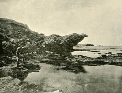 Lavvann, Shelly Beach, Warrnambool, 1901. av Unbekannt