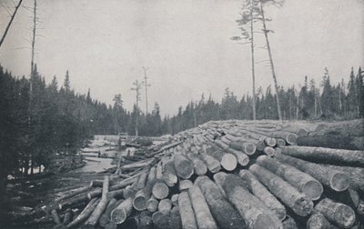 Tømmerarbeid, 1924 av Unbekannt
