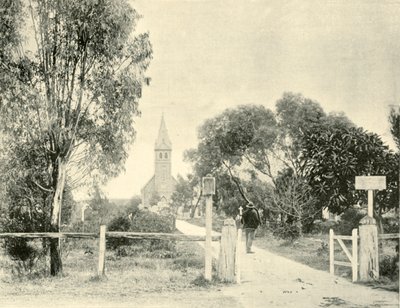Lutherske kirke, Tanunda, 1901. av Unbekannt