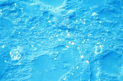 MINERALER, LM Mudstone av Unbekannt
