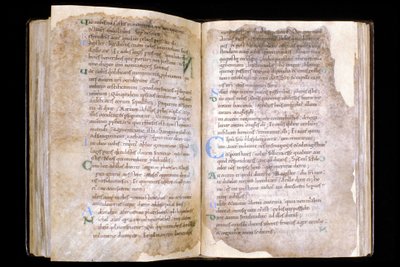 Manche N* 066, City of Mortain, Treasure of the Saint Evroult collegiate church, evangeliebok fra 1000-tallet. av Unbekannt