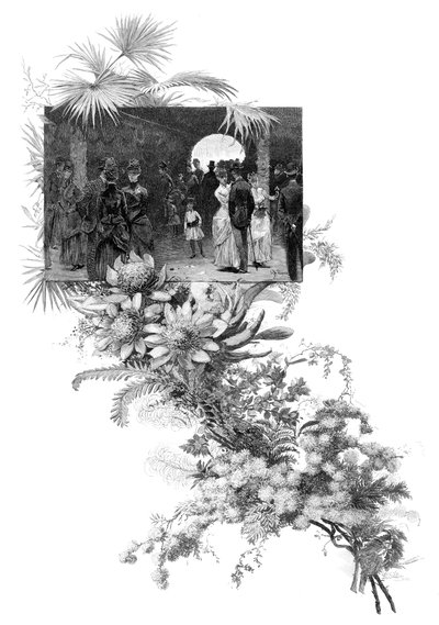 Manly villblomstershow, Sydney, New South Wales, Australia, 1886 av Unbekannt