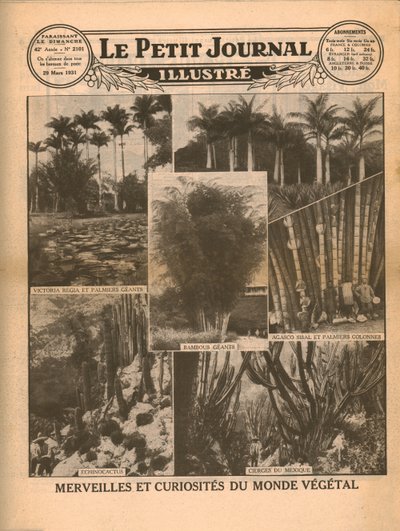 Planteverdenens vidundere og kuriositeter, 1931. av Unbekannt