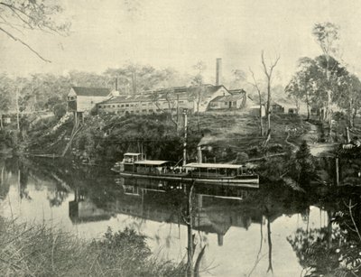 Meat Works, nær Grafton, New South Wales, 1901. av Unbekannt
