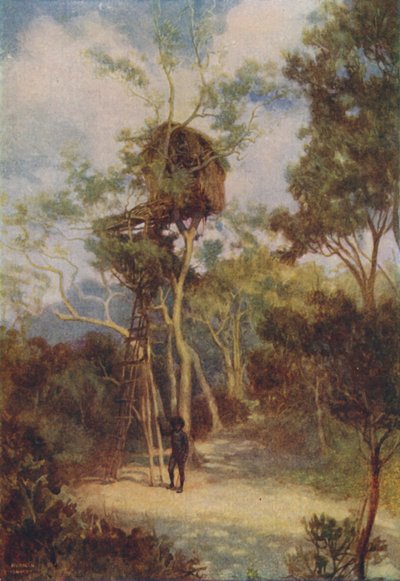 Melanesisk trehus, 1924 av Unbekannt