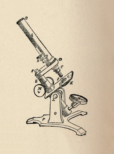 Mikroskop, 1912 av Unbekannt