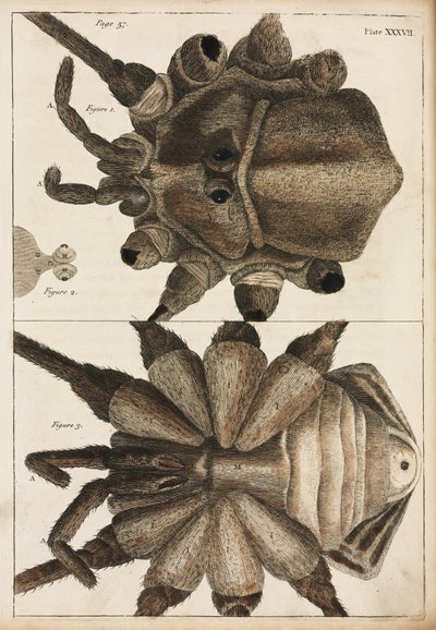 Mikroskopie von Unbekannt