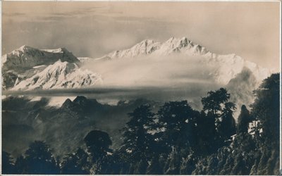 Ikke ghty gullordre er c1940 av Unbekannt