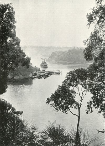 Mosmans Bay, fra Cremorne Jetty, c1900. av Unbekannt