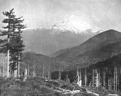 Mount Hood, Oregon, USA, c1900. av Unbekannt