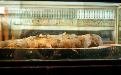 Mamma pakket inn i bandasjer og liggende på bunnen av en kiste, gammel egyptisk av Unbekannt