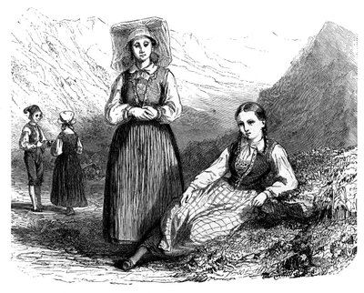 Nordmenn i Lovardalsskard, ca 1890 av Unbekannt