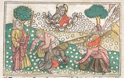Nüremberg-bibelen: Manna faller fra himmelen, 1400-tallet. av Unbekannt