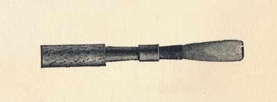 Husk Ray d, 1895. av Unbekannt