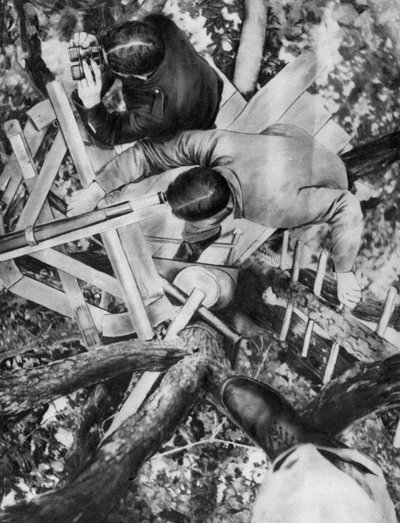 Observasjonspost i et tre, Woevre, Frankrike, første verdenskrig, c1914 av Unbekannt