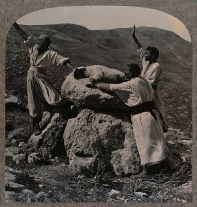Ofring av lam på alteret, Moreh, ca 1900 av Unbekannt