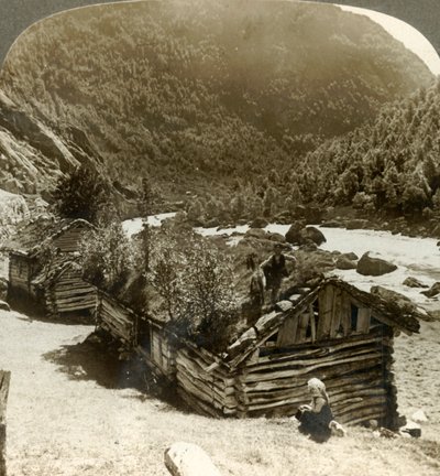 Gamle tømmerhus i Bratslandsdal, med trær som vokser på torvdekkede tak, Norge, c1905. av Unbekannt