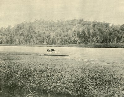 På Enoggera-sjøen, 1901. av Unbekannt