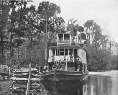 Ved Ocklawaha River, Florida, USA, ca 1900. av Unbekannt