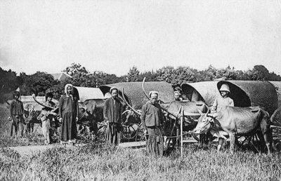 Oksevogner, Cochin Kina, Vietnam, 1900-tallet av Unbekannt