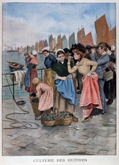 Østersselger, 1902 av Unbekannt