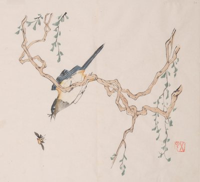 Seite aus Shi Zhu Zhai von Unbekannt