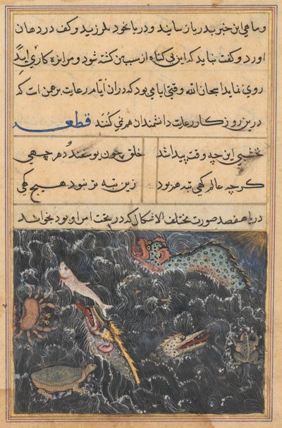 Side fra Tales of a Parrot Tuti-nama: Elvte natt: Havets skapninger, ca. 1560. av Unbekannt