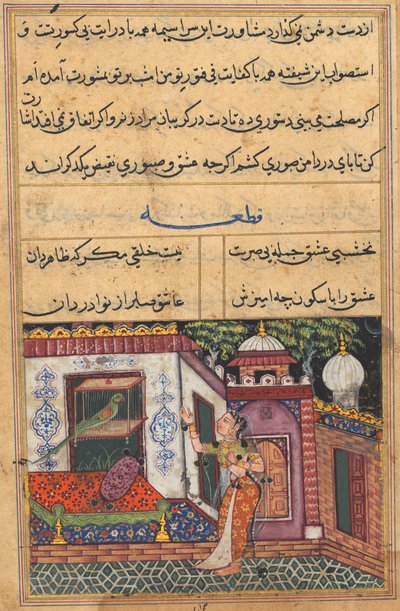 Side fra Tales of a Parrot Tuti-nama: Elvte natt: Papegøyen henvender seg til Khujasta..., ca. 1560. av Unbekannt