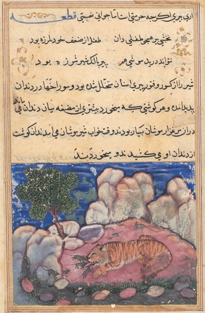 Side fra Tales of a Parrot Tuti-nama: Femtende natt: Løven forstyrret av mus..., 1558-1560. av Unbekannt