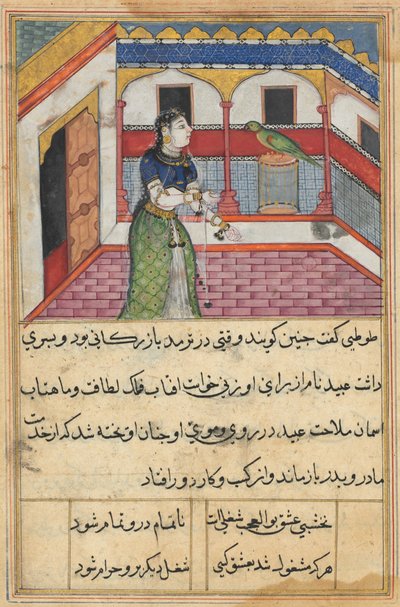 Side fra Tales of a Parrot Tuti-nama: Førtiandre natt: Papegøyen adresserer..., ca. 1560. av Unbekannt