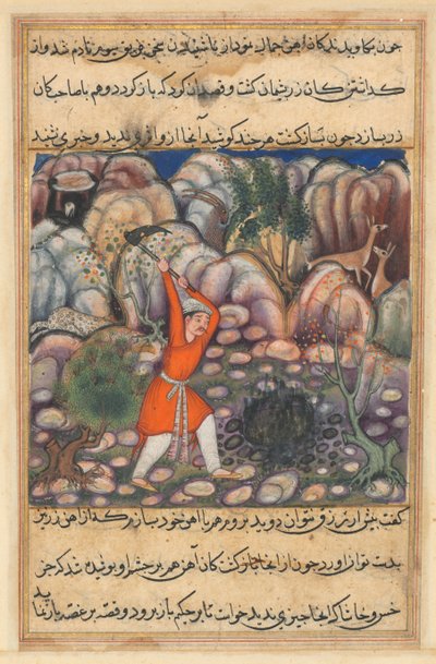 Side fra Tales of a Parrot Tuti-nama: Førtisyvende natt: Den fjerde mannen graver..., ca. 1560. av Unbekannt