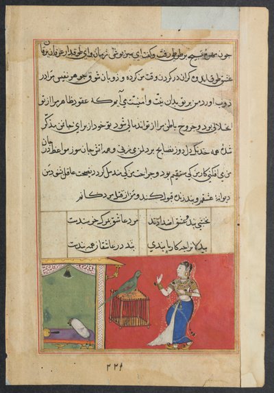 Side fra Tales of a Parrot Tuti-nama: Førtisjuende natt: Papegøyen henvender seg til Khujasta..., c156 av Unbekannt